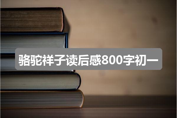 作文二四六香港资料期期准:骆驼祥子读后感800字初一(实用三篇)